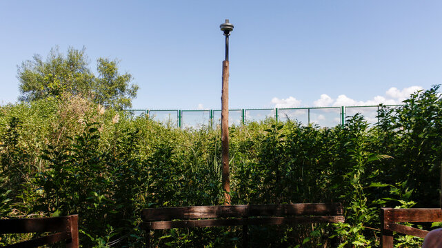 Security Camera Amidst Lush Greenery in Buenos Aires