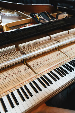 Grand Piano Action Mechanism and Keys
