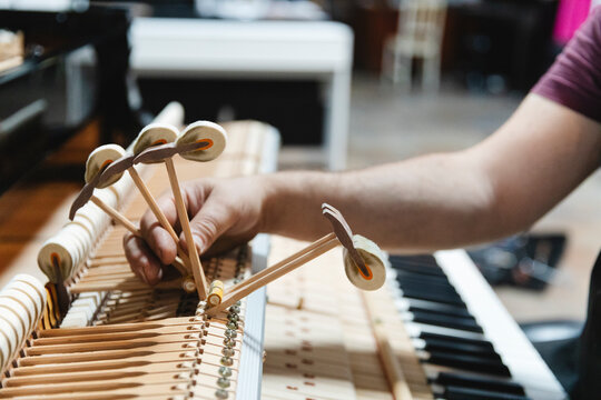 Technician Fine-Tuning Grand Piano Hammers