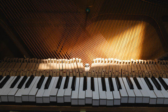Inside View of Piano with Keys and Strings