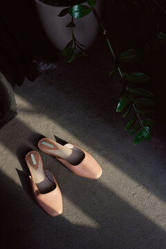 Leather mules illuminated with sun rays