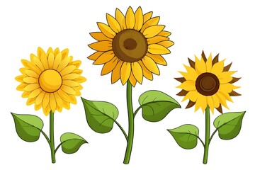 Obraz premium Watercolor sunflowers. Sun flowers Hand drawn illustration for wrapping paper, textile printing.