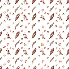 Geometric seamless pattern with herbal elements. Ribbon pattern with wild herbs, beans and other natural motives. Isolated on white. 