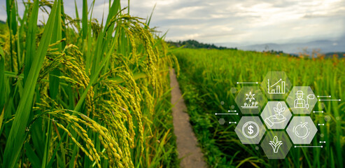 Smart farm advanced technology for enhanced productivity and quality in modern farming practices....