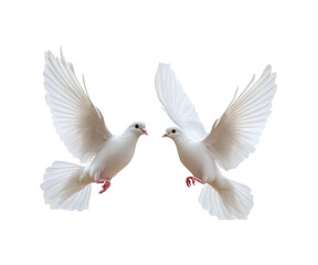 flying doves on an isolated transparent background