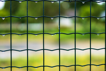 Raindrops on Metal Mesh Fence with Blurred Background