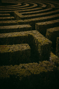 Shrub Labyrinth