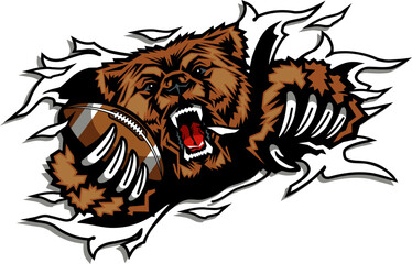 bear mascot holding football in claw ripping through background for school, college or league sports