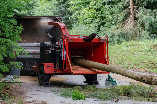 Tree Chipping Machine in Action