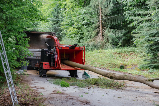Tree Chipper Processing Large Tree Trunk