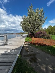 path to the sea