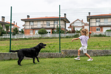 Happy child playing with black labrador retriever dog running