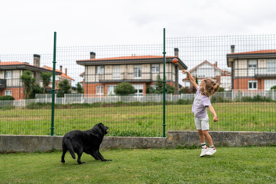 Happy child throwing ball to black labrador retriever playing