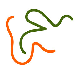 Green orange squiggly lines vectors 