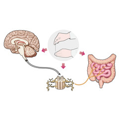 침치료 기전 한의학 치료 효과