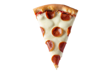 Bunny Pilot Holding Starfish