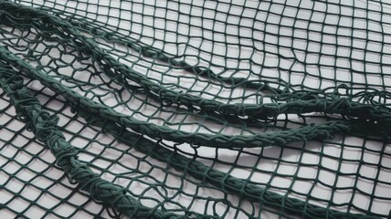 Dark Green Fishing Net Spread Against a White Background