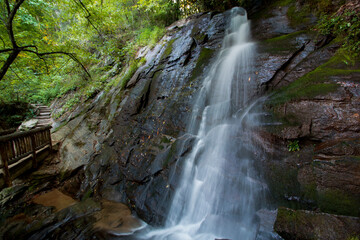 Obraz premium waterfall in the forest