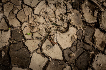 earth