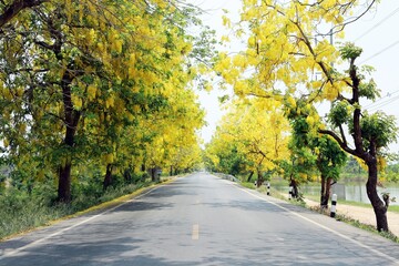 road in Thailand 