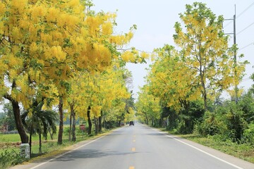 road in autumn