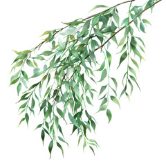 Fototapeta premium A vivid display of lush green leaves gracefully cascading, showcasing natural beauty and vitality, perfect for evoking tranquility and a sense of peace in design.