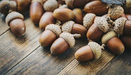 Acorns piled up on the floor. oak fruit