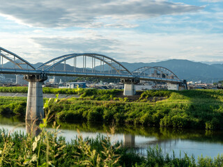 植物に覆われた真夏の大和川と水管橋