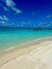 Fototapeta premium beach