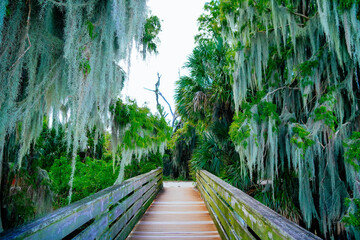 Obraz premium circle b bar reserve and lake hancock in lakeland FL