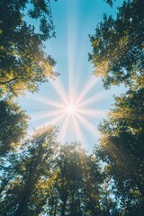 Radiant Sunlight Bursting Through the Lush Forest Canopy