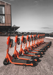 roller skates on the street