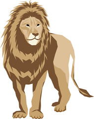 Lion illustration