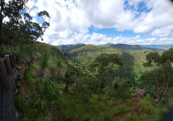 Lamington National Park in Queensland