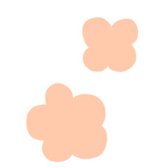 two pink flowers on a transparent background