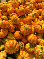 pile of pumpkins