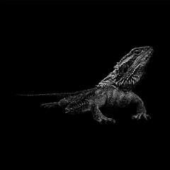 Bearded Dragon hand drawing vector isolated on black background.