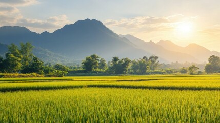 A picturesque scene of green rice paddies with a mountain backdrop in the morning, Nan province, Thailand, with soft light illuminating the fields and a clear sky