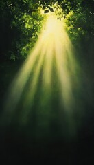 Serene sunlight streaming through lush leaves, creating a tranquil atmosphere in a peaceful forest.