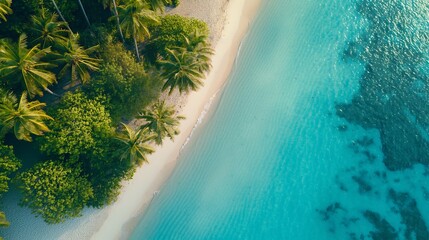 Aerial view, blue sea beach, white sand beach, nature coconut trees on the beach