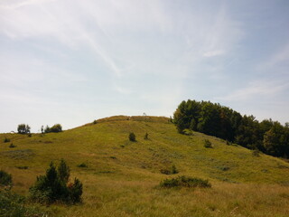 Mountain, Greenery, Landscape