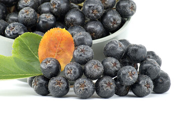 Fresh black chokeberries (Aronia melanocarpa) with vibrant green and orange leaves on white