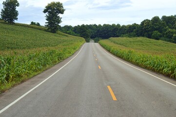 landscape of road in the countryside