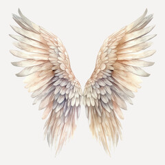 Fototapeta premium Elegant watercolor angel wings illustration