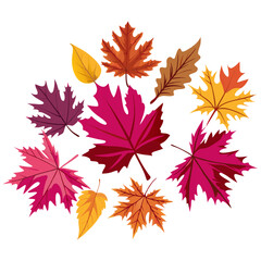 Obraz premium Colorful autumn leaves arrangement on white background with copy space
