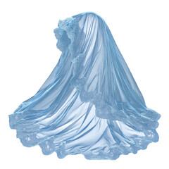 Brad's veil for a wedding