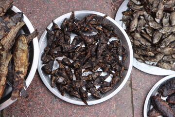 Different types of dried fish for sale at the street maket