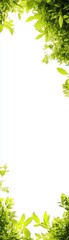 Obraz premium A vibrant border of lush green leaves enveloping a blank s, perfect for nature-themed designs and backgrounds.