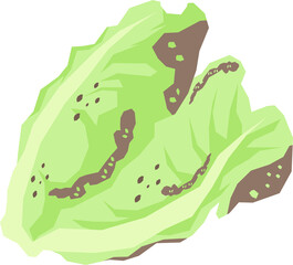 Cartoon illustration of ugly mustard greens
