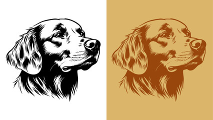1-color golden retriever portrait